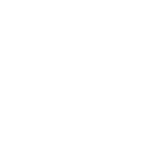 DJ Rapture Logo