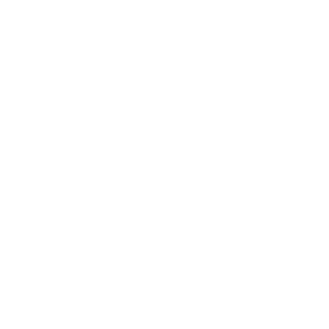 Steinigke Showtechnik Logo