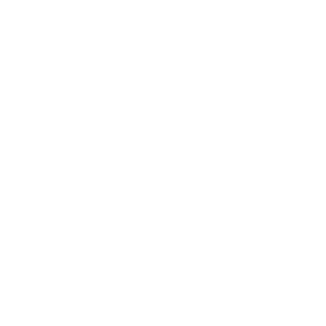 Viwefo Logo